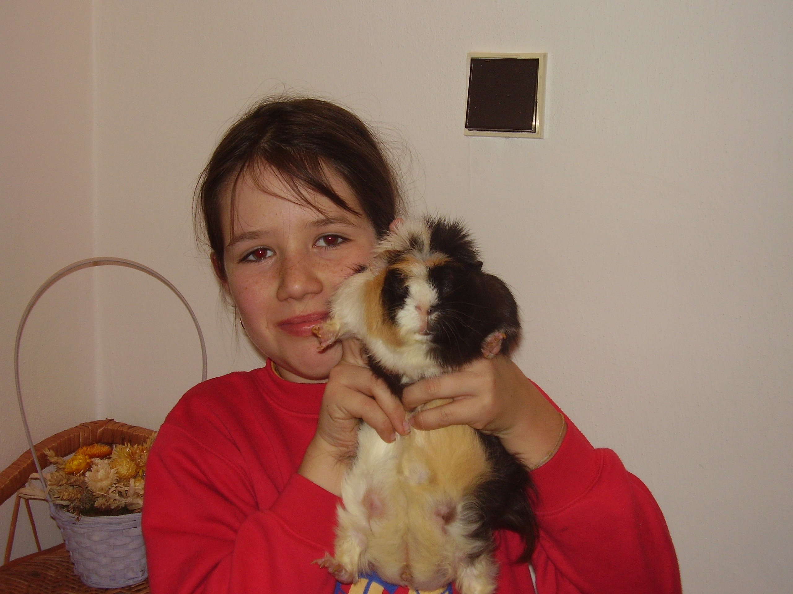 denda a pet´ulka