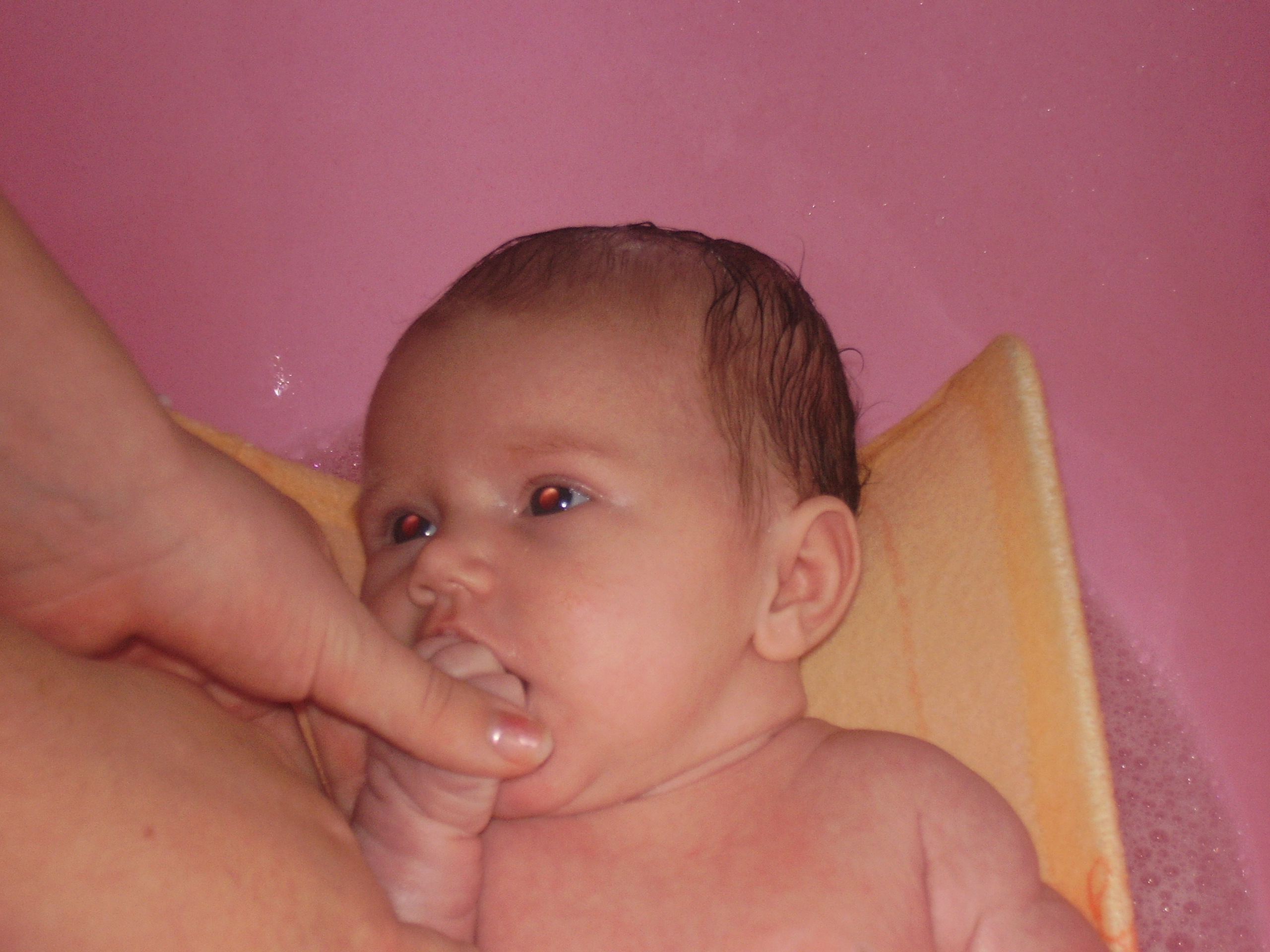P2230154.JPG