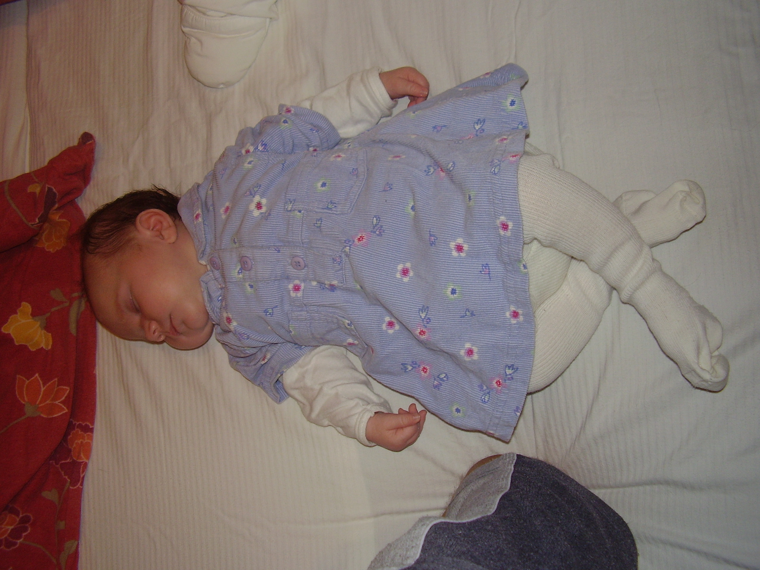 PC180147.JPG